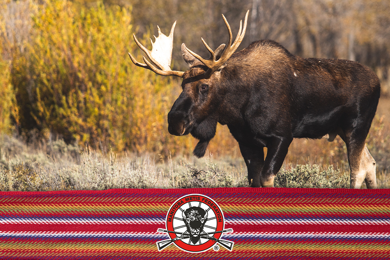 Fast Facts: Moose at Milwaukee - Feb. 4 - Manitoba Moose
