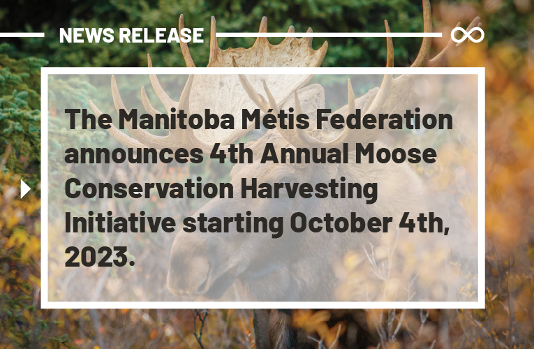The Manitoba Métis Federation announces 4th Annual Moose Conservation